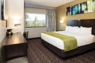 Harrah's Cherokee Valley River Casino & Hotel - Murphy - 1
