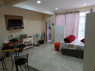 loft bem espaçoso no centro - Pelotas - 0