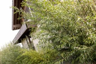 Vakantiewoning StroEnzo - Riemst - 7
