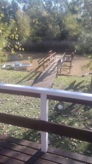 Tigre- isla Nico - Tigre - 7