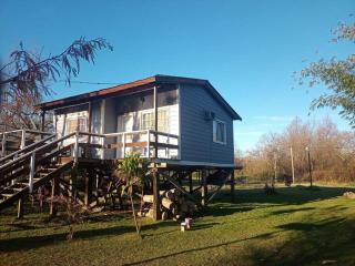 Tigre- isla Nico - Tigre - 0