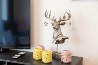 Relaxlounge - C3 - Kappeln - 8