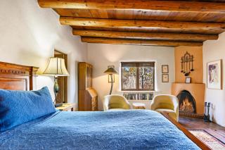 Hummingbird in Santa Fe NM - 3