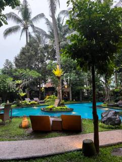 Green Bird Villa - CHSE Certified - Ubud - 0