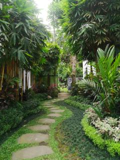 Green Bird Villa - CHSE Certified - Ubud - 1