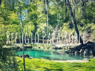 Cabaña en el bosque-Termas de Chillán - Recinto - 6