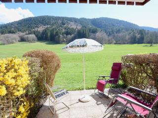Studio cosy à Bernex avec terrasse et parking - FR-1-498-92 - Bernex - 9