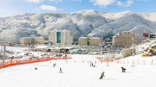 VivaldiPark - Hongcheon - 0