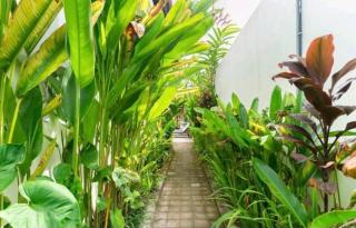 Rendira villa 2 - Ubud - 8