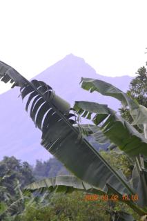 Merufarmhouse - Arusha - 8
