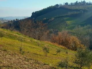 Azienda agricola biologica Le Lucciole - 7