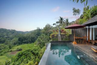 Black Penny Villas Ubud - 6
