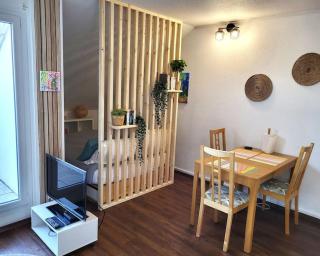 Beautiful Studio at Geneva airport Ferney Voltaire - Ferney-Voltaire - 8