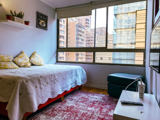 Depto Metro Plaza de Armas (1 dormitorio 1 baño) - Santiago - 7