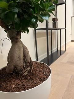 De Angeli's Suite - Milan - 8