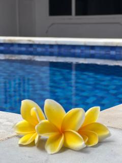 Seaside Hotel - Gili Trawangan - 4