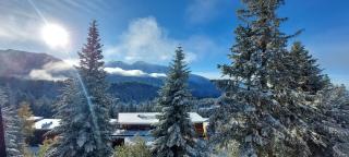 Appartement 4/6 personnes - Vue plein sud - Chamrousse - Chamrousse - 2