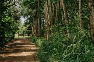 Suối Camp - 4