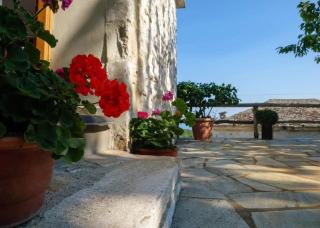 Pileas Pinakates-Milies-Vizitsa - 8