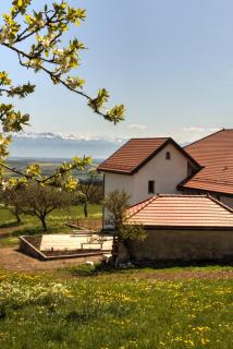 La Ferme de la Praz - Rooms with a View - 7