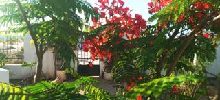 Cytyz Appart Hôtel - Mahajanga - 1