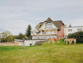 Reet am Rhein-Heuboden, Eröffnungsangebot - Boppard - 5