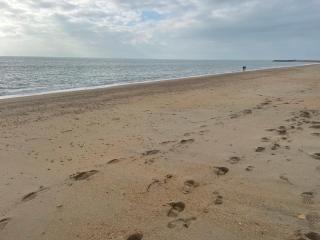 Pure-Living West Sands Sunshine and Sea View - 3 Bedroom lodge at SEAL BAY - Selsey - 3