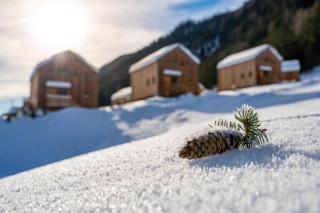 HOCHoben Chalets & Mobilhomes - 9