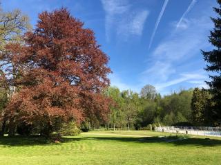 Le Pralat - - 8