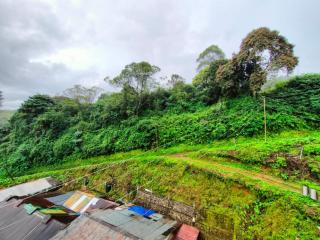 Munnar Kaippalli Budget Homestay - Munnar - 6