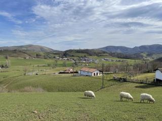 Hauskarriako-borda - Jaxu - 4