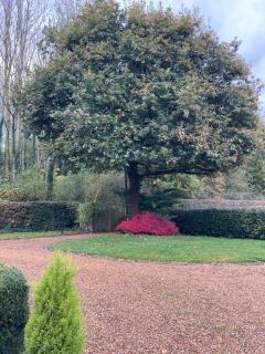 Charming 2-Bed Cottage Beautiful Views Knutsford - 8