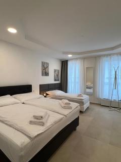 Superb Apartment Vienna between Westbahnhof and Schloss Schönbrunn - 2