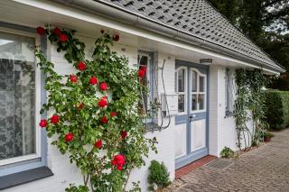 Küstenheide - 8