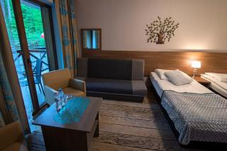 Hotel EUROPA - Górnicza Strzecha - Szklarska Poręba - 4