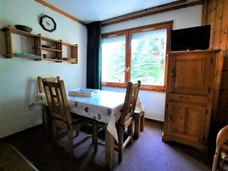 Charmant studio cabine 4 pers. aux Bruyères, pied des pistes, animaux permis - FR-1-452-7 - Les Menuires - 0