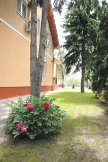 RegE Apartman - Eger - 4