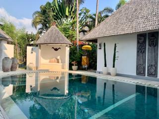 Unique 3BR Villa with Pool 5 minute walk to the Pererenan beach - Canggu - 6