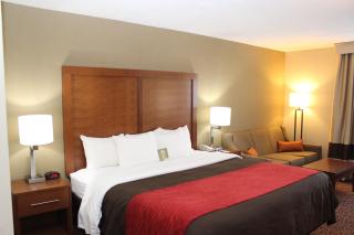 Comfort Inn Bangor North - Bangor - 9