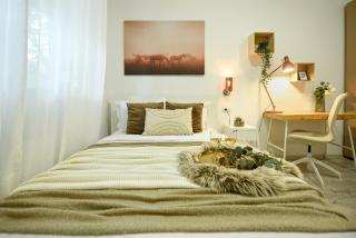 Ideal Home - Spacious & Modern Accommodation near Unirii Square - Bucarest - 5