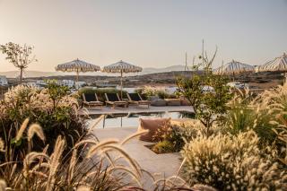 Nysis Koufonisia - 8