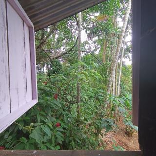 Morada Al Sur - Mocoa - 3