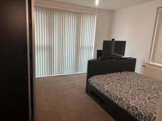 Immaculate 1-Bed Apartment in East London - 2