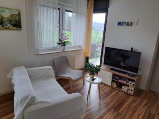 Apartments Bukor - Lukovica pri Domžalah - 8
