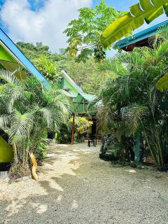 Surf Paradise - Playa Santa Teresa - 0