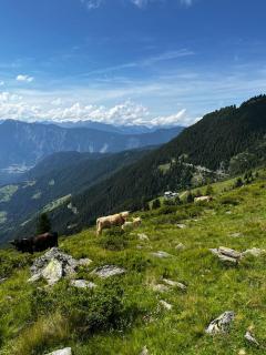 Die Acherberg Alm - Oetz - 1