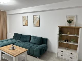 Cozy Luxury Apartments - Coresi Mall #Brasov - Braşov - 4