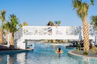 Seaweed Palm at Palmilla Beach - 1