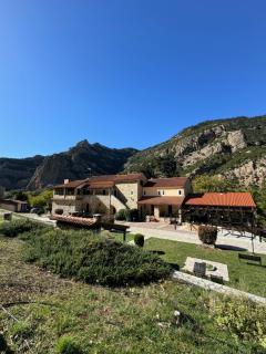 Muntenia Inn Apartments and Suites - Kalavrita - 5