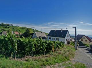 Gite Les deux belettes - 6